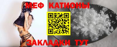 крисы Бийск