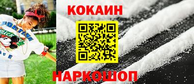 крисы Бийск