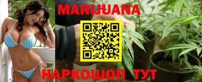 крисы Бийск