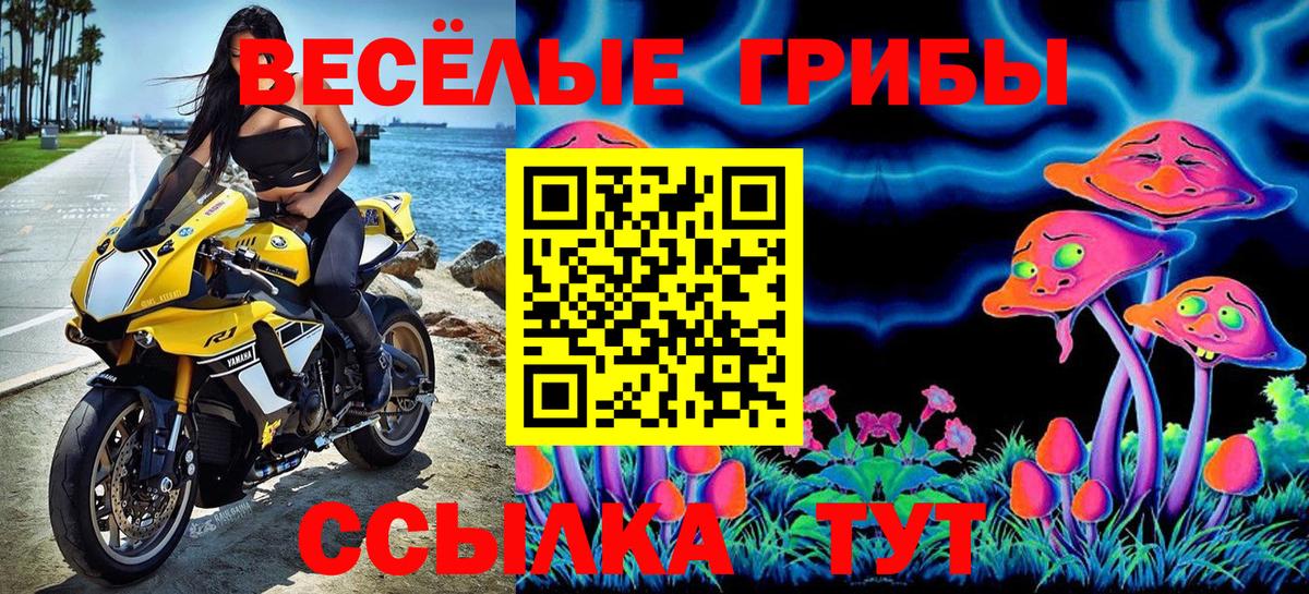 Псилоцибиновые грибы MAGIC MUSHROOMS Асино